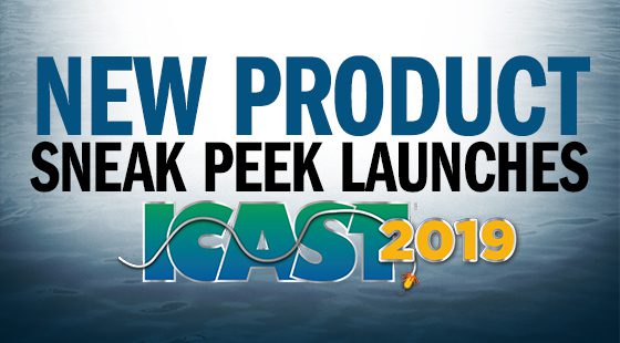 2020-icast-sneak-peak-land
