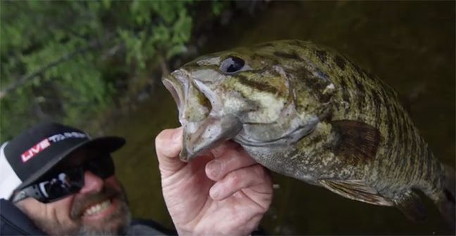 3LKU3XvpBMTuEKBRd4LdjW9qdcnIOzR13SajwBBo9bwezblkPkOfmj2tKyEqgy_ExAouPPvQxqqZ8J1Mbpqg1WVcloWrzj8VM2CVR_rZyVQMW8hZ0pITp-6ErgLzWXFMnSlWdXYpJEbXRS117oovQfCap2UWRuRWe6Od7ws0-d-e1-ft