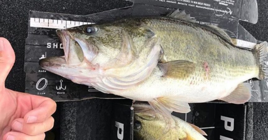 Bass_Rain_Fishing-862x451