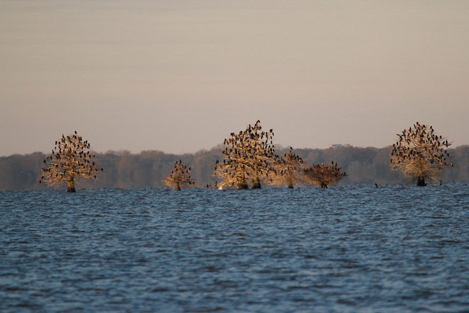 CQyc3uJboNsUUqElvNN7ffC3bgsTZHDlq8QMfhkZ5AJ5E-Xj_zPq1lHTBxEGrqAJQVphTWnWkvQvgpCXgroVKKRuAHLRZJtusIQPE7igMhCCwdaskYzjtRJf-rZQSrie5K8VgXyCx4KVlrSyNcFW0Nw4rEH1Y3_PoOV0bNCgs0-d-e1-ft