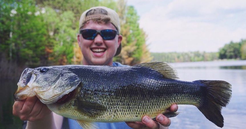 Copy-of-1200px-×-628px-–-Untitled-Design-11-862x451