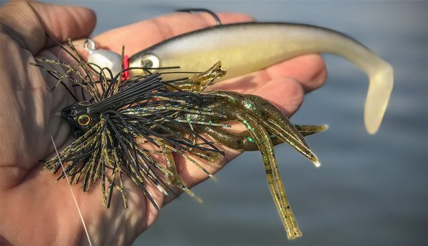 Jig-versus-swimbait-for-bass-fishing