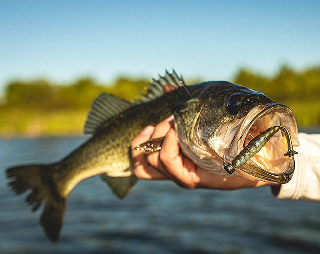 Jt5QE960kfFovYK7cDclKWwEOcxhLVQn0HmrkYh9KNesA4LhloBKs-Jri-DMG-Faz9ADO4gNUJUn6Tw1Acf0VFM26Nw8hnmrGZ9SLEvbmnqNNUiWsSupiYcaqsI1sUsVd6VttJkS6ulo96A6h8iVjws0-d-e1-ft