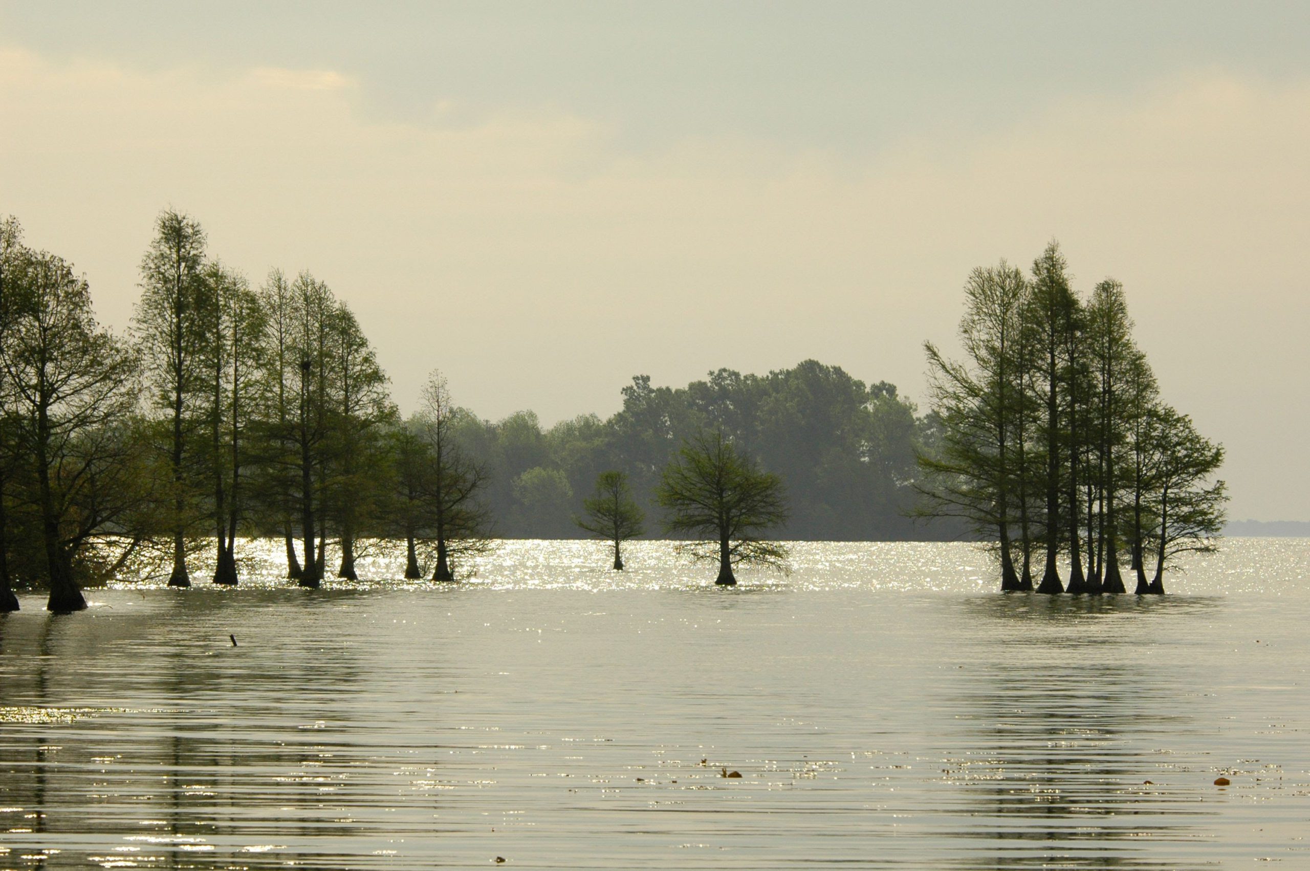 K5RJLq2cxR0zhT72iZkIEn2Ih-ZpwUaXfdtmFhz46Zw_LTsvAIYp6m05FNUXW39-AsjLjSLjWXAd2Edf5b97ht0AVyJuMi2NR47Az4YotUkqZWTL99bSW4RjNJANEHkSKJT4KyT5_ypkEH6mu1jruqZI7O9qOjzxxsIaxteEs0-d-e1-ft-scaled