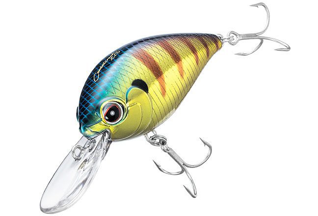 KYJJ-uPJK0U7BLdCrByYOGz3BEa13KhHHOqRT-pboglAU7eNejGRDQ945anLtBfHR8JOiPj7LpFCE2XVIbtiFirqWQU1hr1KU3JUcY3vgcicuQ97zExPnJBIZJYM202Tsm49uahNr6uQmG81IBmLdws0-d-e1-ft