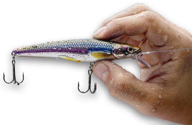 Raibow-Smlet-Jerkbait-LiveTarget