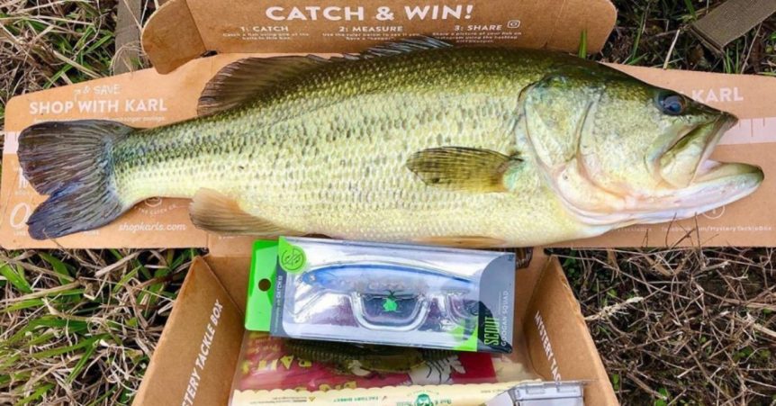 ReactionStrikes-862x451-1