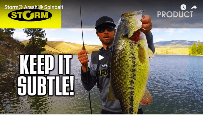 Screen-Shot-2018-08-23-at-4.48.38-AM