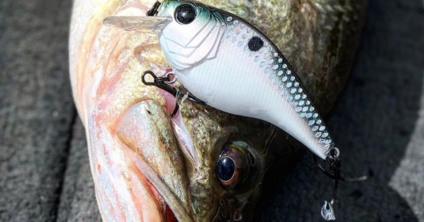 Untitled-design-862x451