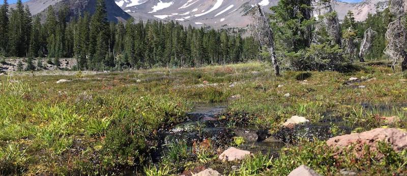 White-House-Targets-Clean-Water-Rule-for-Elimination