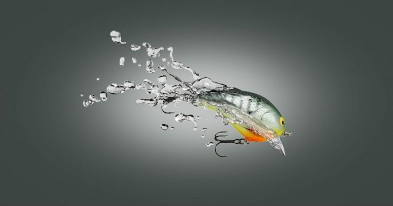 balsa-baits-post-header-862x451