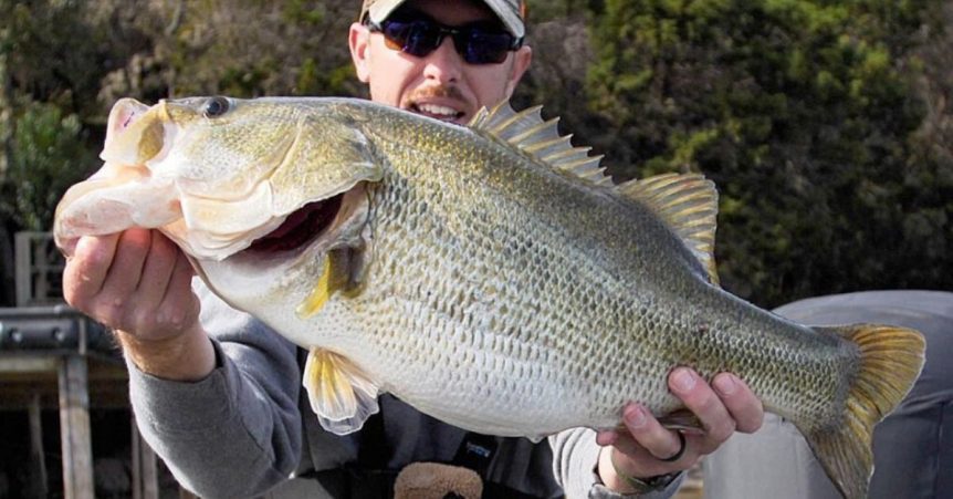 bass_fishing_humps-862x451-1