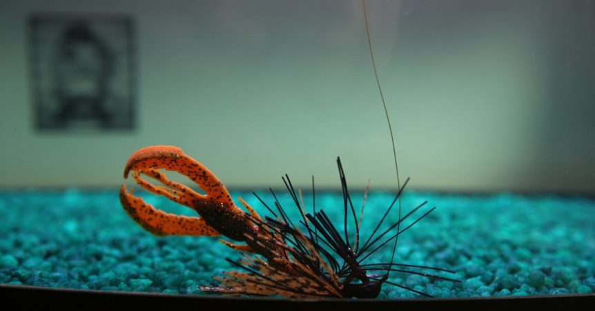 craw-fishing-862x451