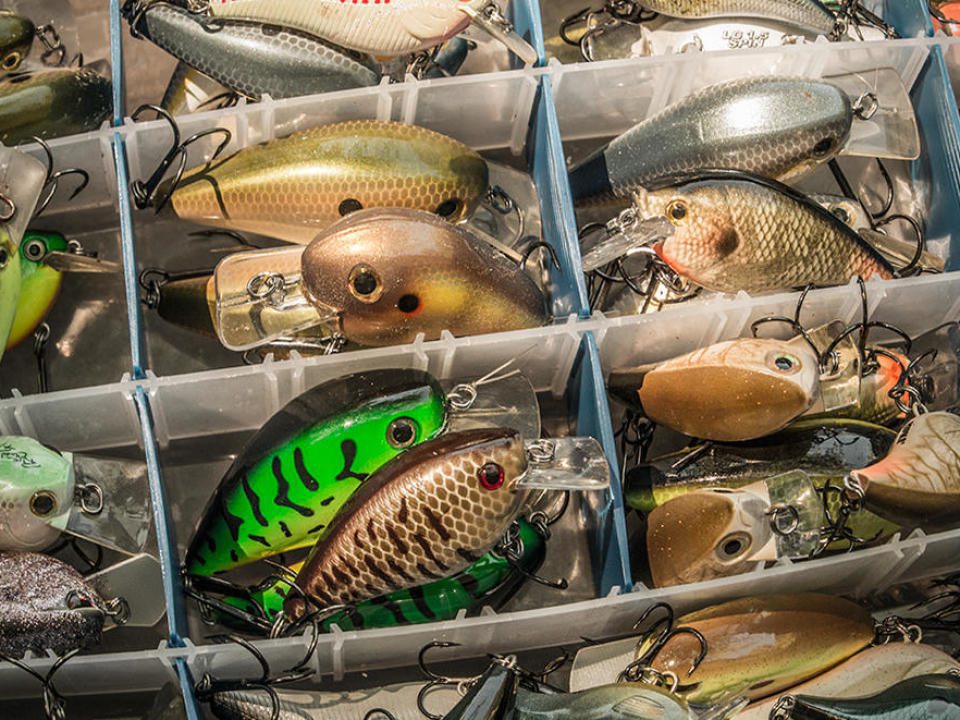 cult-classic-squarebills-for-bass-fishing