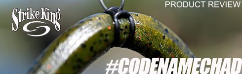 featureban_strikekingocho