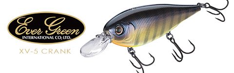 featurebanicast2022evergeen