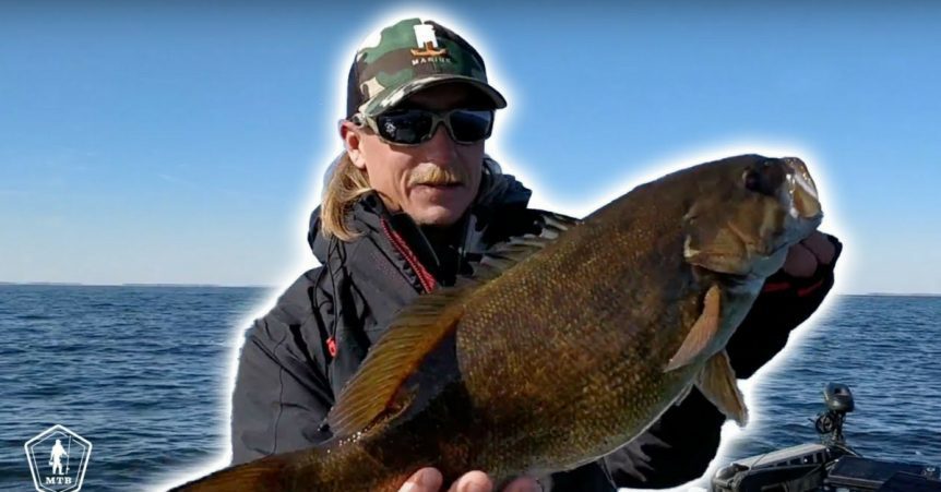 seth-feider-tubes-862x451