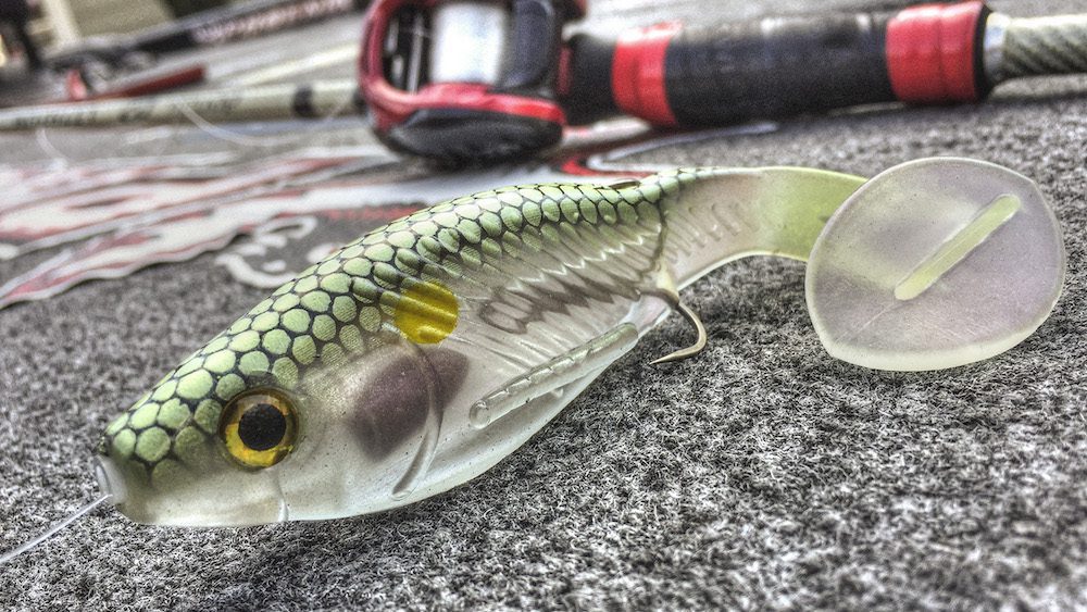swimbait-rig-translucent-1