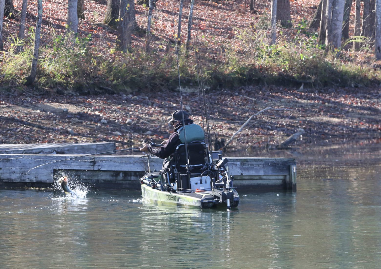 unnamed-4-1-scaled-e1664829984399