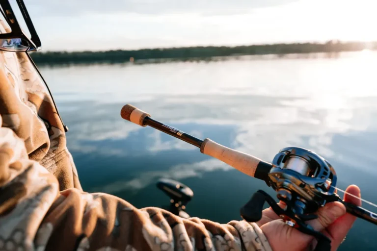 Cashion Rods Introduces The ELEMENT z2