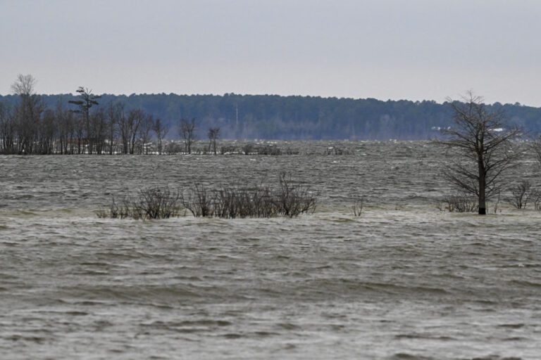 High winds lead to shortened competition at Bassmaster Open at Sam Rayburn Reservoir