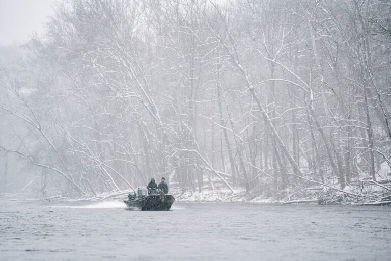 Bridging Winter to Spring