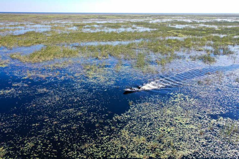 Anglers will share small areas during Bassmaster Elite at Lake Okeechobee