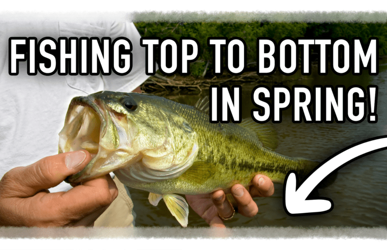Spring Fishing: Master Every Depth!