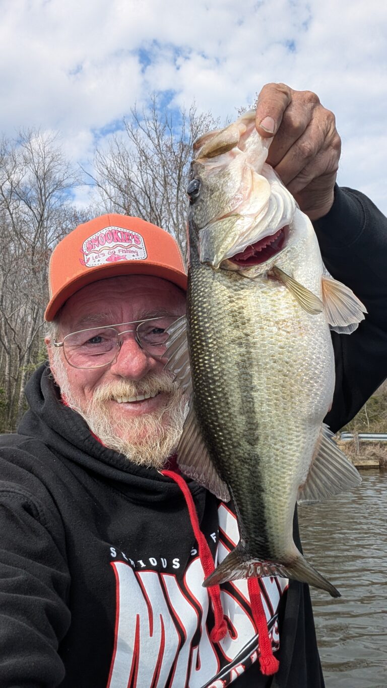 Chasing the Dream: Moving to Bedding Bass by Bruce Callis Jr