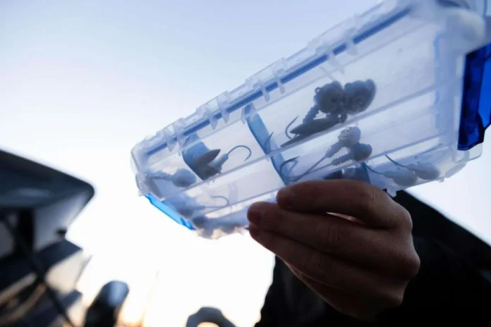 Flambeau™-ZERUST®