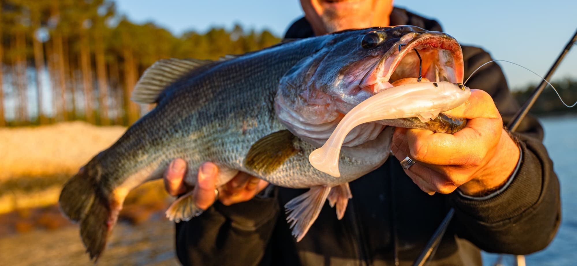 The SWAG LT (Line Through) from Z-Man Fishing Products