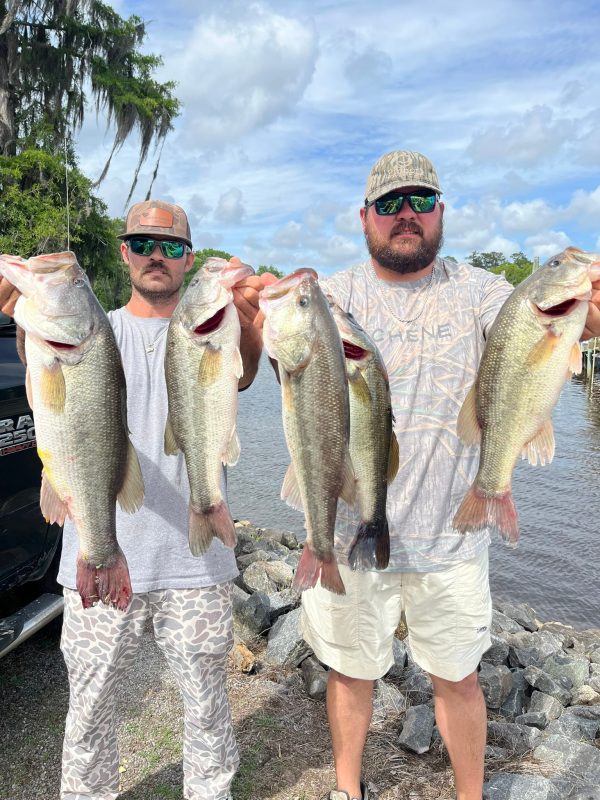 13 Fishing Concept Z Baitcaster Reel Review By Jason Sealock The Bass Cast 13 Fishing Concept Z Baitcaster Reel Review By Jason Sealock The Bass Cast